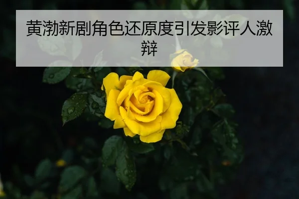 huang-bo-xin-ju-jue-se-huan-yuan-du-yin-fa-ying-ping-ren-ji-bian-2-439.jpg