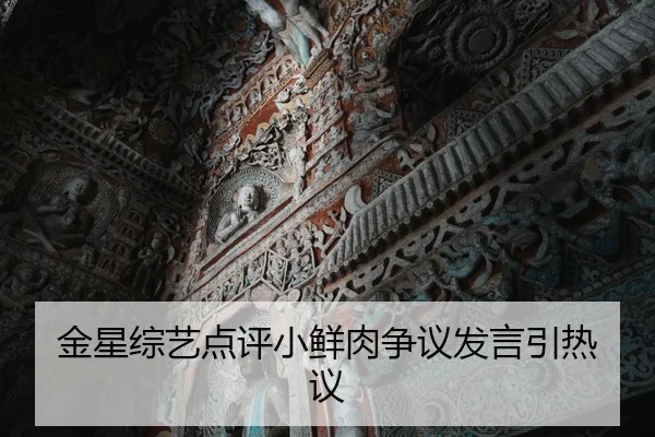 jin-xing-zong-yi-dian-ping-xiao-xian-rou-zheng-yi-fa-yan-yin-re-yi-1-748.jpg | fc2